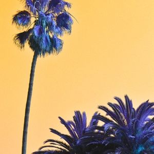 Meet your Posher, Sophia